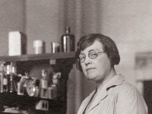 Agnes Fay Morgan